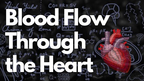 Blood Flow Through the Heart | Heart Physiology | MCAT 2021