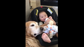 Dog and baby are best friends who love spending time together