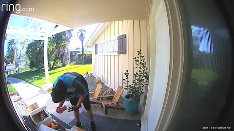 Amazon delivery driver reacts to snacks left by homeowner