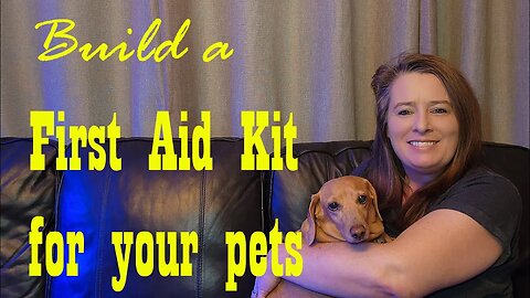 Build a First Aid Kit for your Pets ~ Preparedness