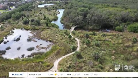 Walking Club: Exploring Perico Preserve and Neal Preserve