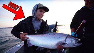 Tiger Musky & SALMON Fishing The SAME DAY!! (Ft. @SBFishing)