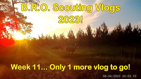 B.R.O. Scouting vlogs 2023! Week 11... It's Crunch Time!!