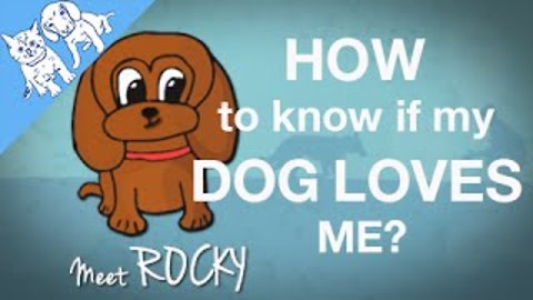 Six ways to know your DOG LOVES you