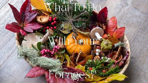 Fall Foraging and what to do with it #Fall #foraging #freefood