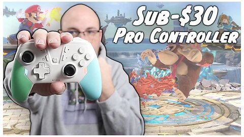 The New Champion of Budget Switch Controllers? Rival Lab Gaming Contender Controller Review