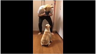 Frenchie had mind blown by man in dog mask
