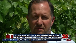 California reportedly facing farm worker shortage
