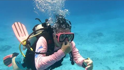 Cozumel Dive 9 Tormentos Ben shot the video