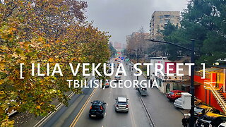 Tbilisi Walks: Ilia Vekua Street