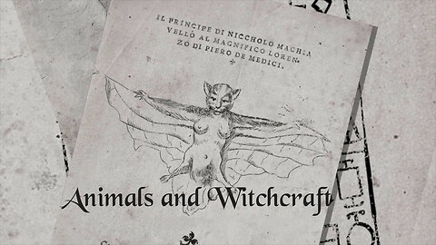 Animals and Witchcraft