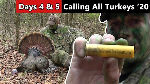 BOLD MOVE TO GET A GOBBLER!!! - Mississippi Turkey Hunting - Calling All Turkeys