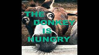 When the Donkey is Hungry