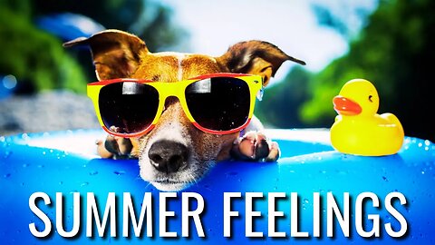 Summer Feelings - EuGeniusMusic Pop Music [FreeRoyaltyBGM]