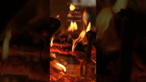 The Calm Mesmerising sound of a Crackling Log Fire