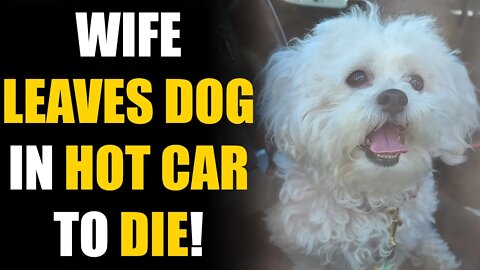 Wife Leaves DOG in HOT CAR, To CHEAT on Her Husband! Instantly Regrets It... | SAMEER BHAVNANI