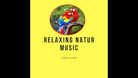 8D-Music RELAXING nature sound birds-meditation,calm,peace audio 8D