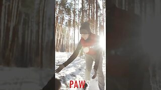 #PAWS - Snow Doggy