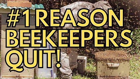 #1 Reason Beekeepers Quit - Will You?