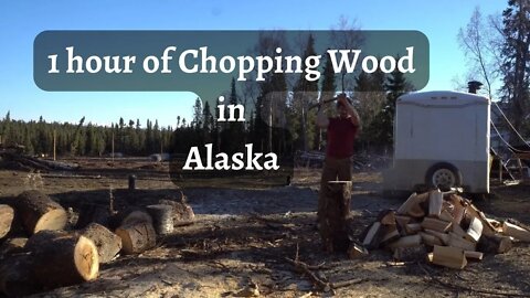 Chopping Wood in Alaska | 1hr | Meditative | Wild West Trail