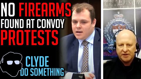 Any Firearms Found? - MP Dane Lloyd Grills Ottawa Police Chief