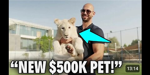 "NEW 500k pet.. White Tiger"