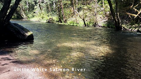 SILENT PERSPECTIVES (4K) of Little White Salmon River @ Moss Creek Campground! | Gifford Pinchot