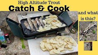 Utah Silver Lake Flat Reservoir, Rainbow Trout Fishing in Wasatch Mountains, Catch & Cook