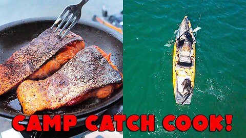 What’s BETTER?! Coho VS King Taste TEST! Kayak CAMPING, Cooking, & FISHING!!