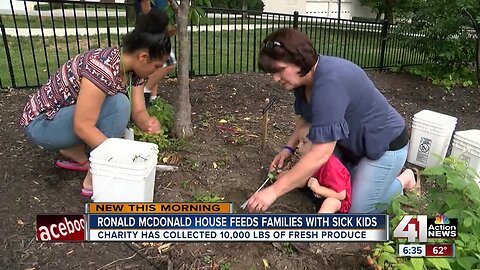 Milestone moment: Garden at Ronald McDonald House Charities of KC collects 10,000 pounds of food