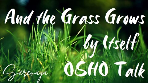 OSHO Talk - And the Grass Grosw by Itself - The 'Master of Silence' - 5