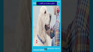 حقائق مدهشة عن الكلاب 20