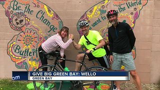 Give BIG Green Bay Willow Tree