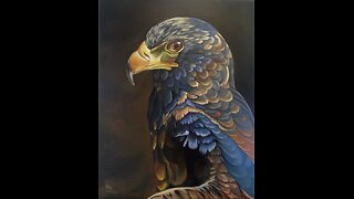 Bateleur Eagle Oil Painting