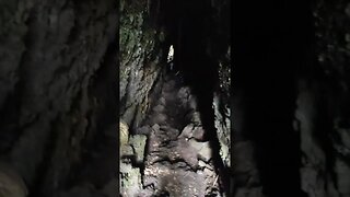 Rangitoto Island lava cave