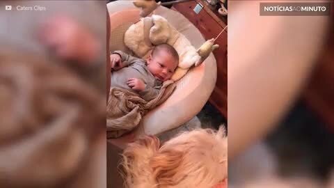 Bebê e cãozinho formam a amizade mais fofa que você ja viu