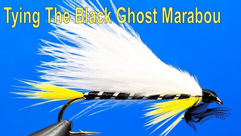 Tying The Black Ghost Marabou - Dressed Irons