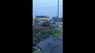 Lismore Flood Update: One Week Later (07/03/22)