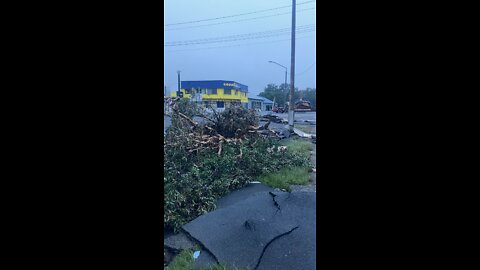 Lismore Flood Update: One Week Later (07/03/22)