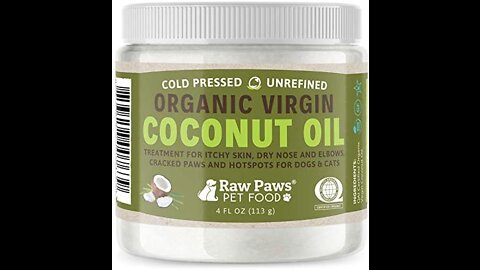 3 AMAZING Health Benefits Of Coconut Oil For Cats🐅🐈