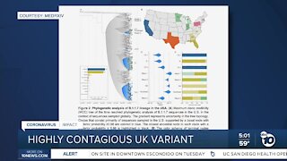 Researchers: Highly contagious UK variant may become dominant strain in US