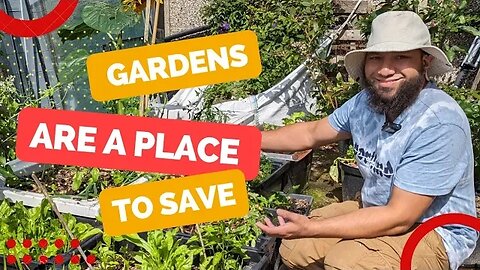 Small Garden Growing in Tiny Spaces Reduce, Reuse, Recycle, Repurpose