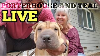 Porterhouse and Teal Live ep. 25 Where has Teal been?