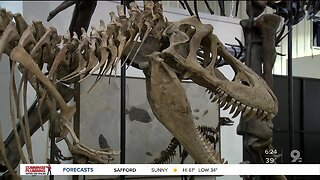 Check out dinosaur fossils at gem show