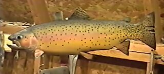 How to Paint a Cutthroat Trout