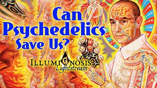 Can Psychedelics Solve Humanity's Greatest Problem?