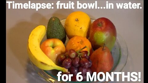 I left a Fruit Bowl in water for 6 months... and filmed it. Timelapse photography. Decomposition!