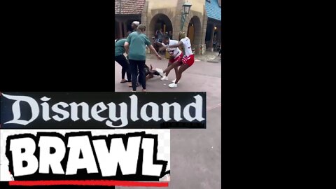 Disneyland fight brawl Disney land Anaheim, California in Orange County - kick, punch slap