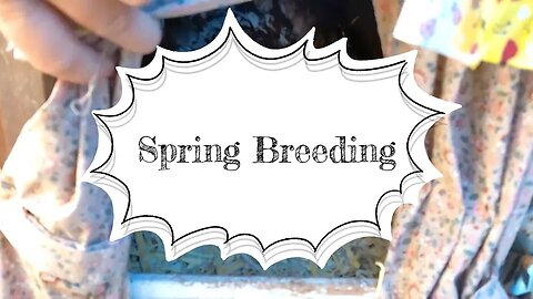 Spring Breeding