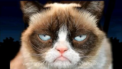 Grumpy Cat Sings Happy Birthday